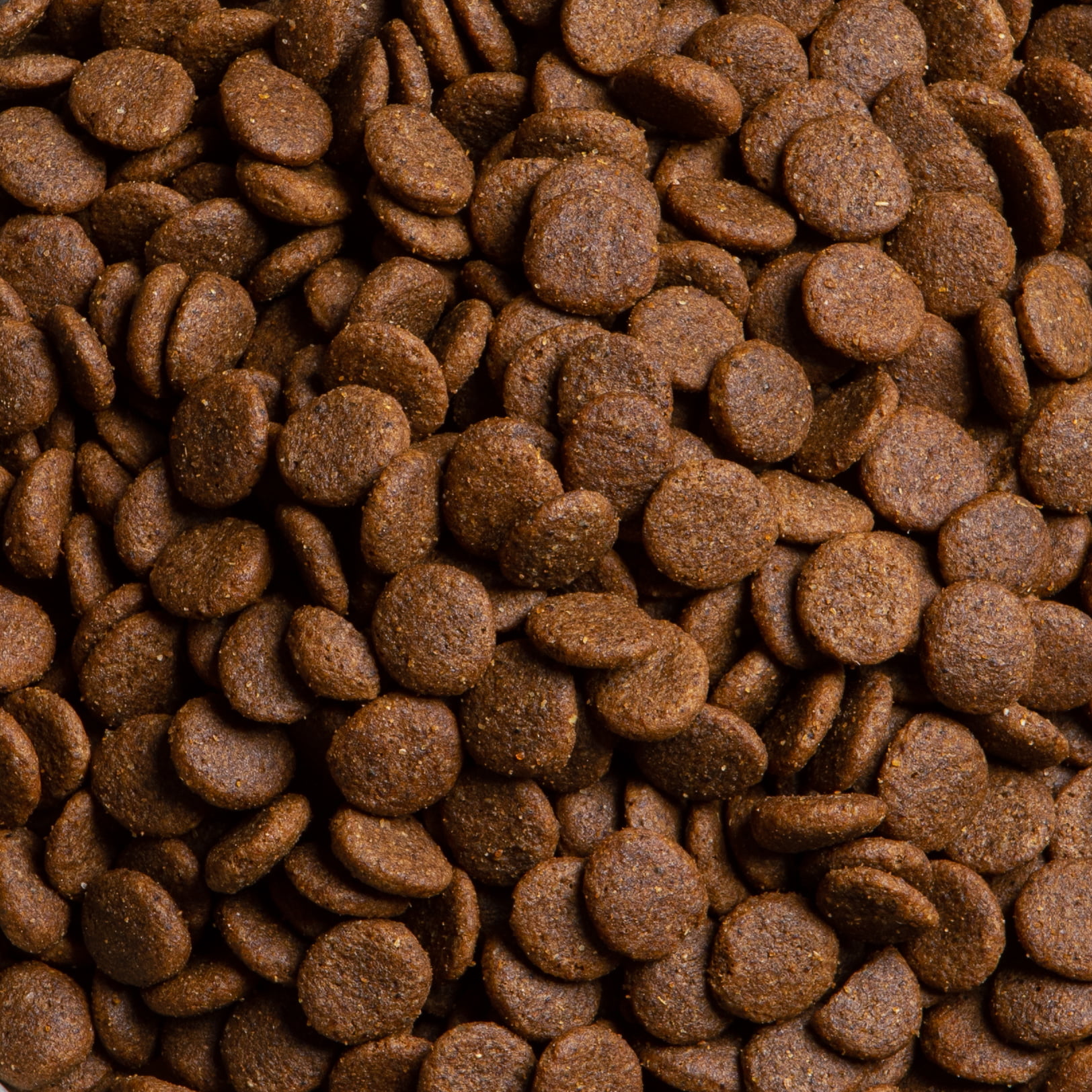 Adult: Duck with Sweet Potato, Orange & Cranberry - Image 3