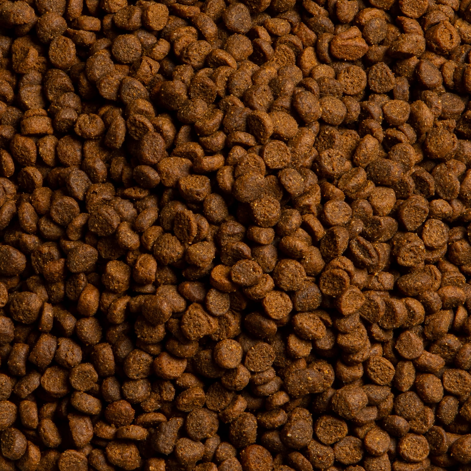 Puppy Small Breed: Turkey with Duck, Sweet Potato, Dill & Camomile - Image 3