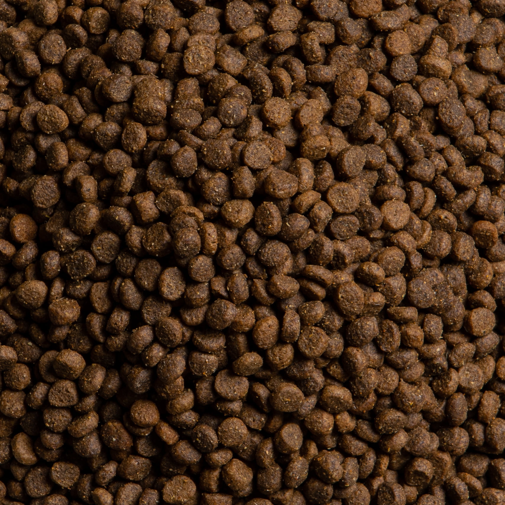 Small Breed: Lamb with Sweet Potato, Peas & Mint - Image 3