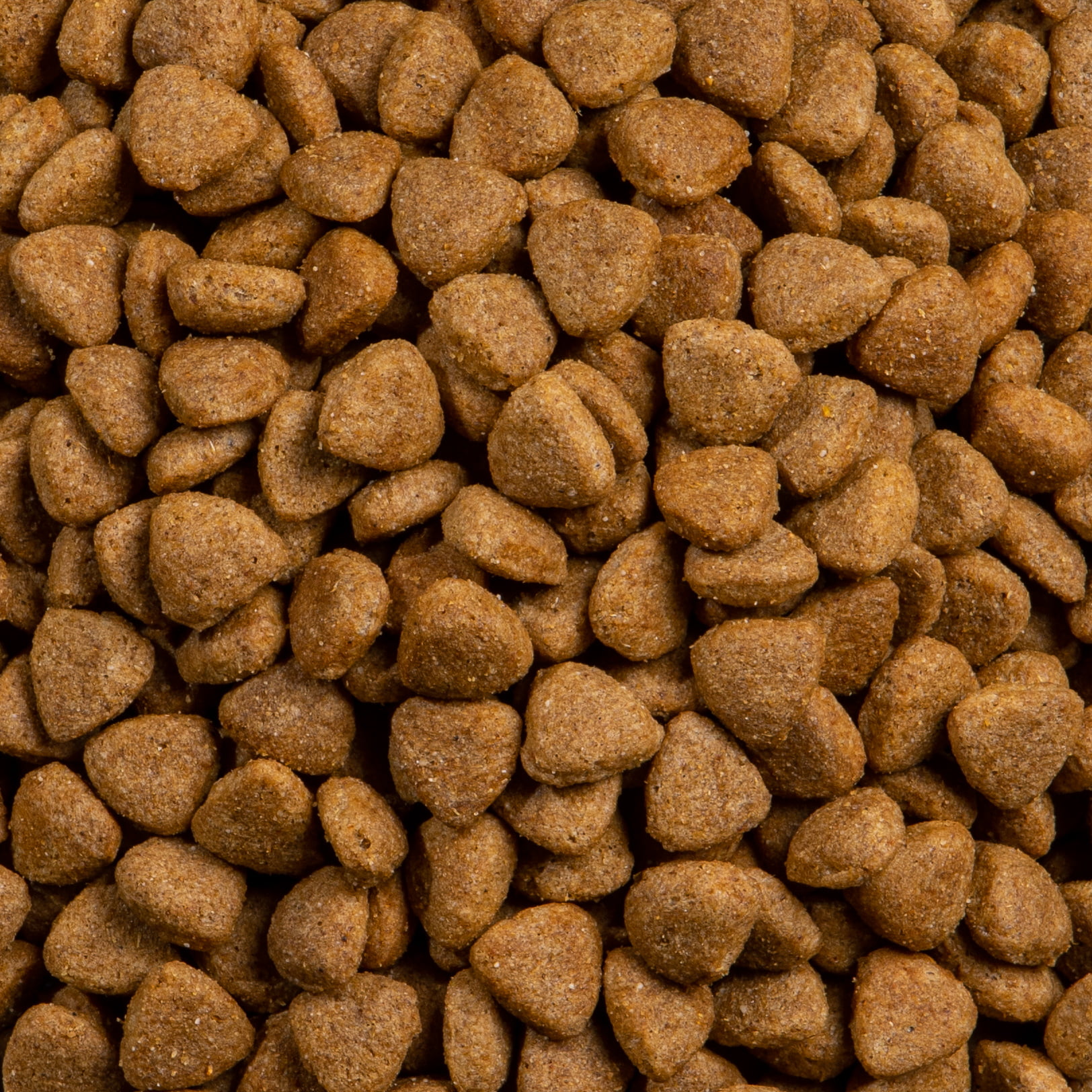 Small Breed: Turkey & Rice - Image 3